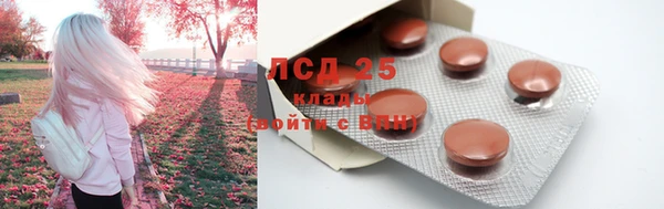 ПСИЛОЦИБИНОВЫЕ ГРИБЫ Заводоуковск