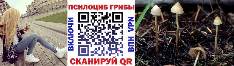 Псилоцибиновые грибы мицелий  Норильск 