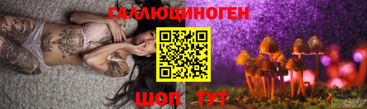 Норильск  Галлюциногенные грибы Psilocybine cubensis  Вход с VPN  Галлюциногенные грибы прущие грибы 